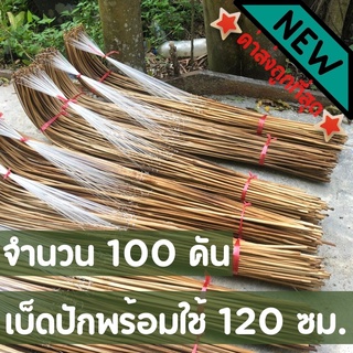 เบ็ดปัก 100 คัน เบ็ด เบ็ดปักคันนา เบ็ดตกปลา เบ็ดปักไม้ไผ่ เบ็ดไม้ปัก ใช้ผิวไม้อย่างดี (ยาว120ซม.)