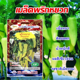 เมล็ดพริกหยวก หยวกมณี Pepper เมล็ดพันธุ์พริก เมล็ดพริก เมล็ดผักสวนครัว ตราภูเขาทอง