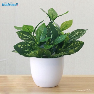 Artificial Potted Plant with Pot Fresh Foliage Bonsai Plant Wedding Party Home木瓜/苹果/手链/内裤/生菜/园艺/芹菜/上衣/seeds/鲜花/ AUKN