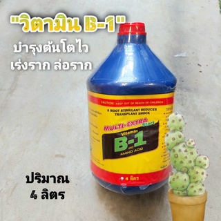 B1 ใหญ่ // B-1 วิตามิน B1 วิตามินB1 บีวัน บำรุงราก เร่งราก 4 ลิตร บำรุง แคคตัส กระบองเพชร