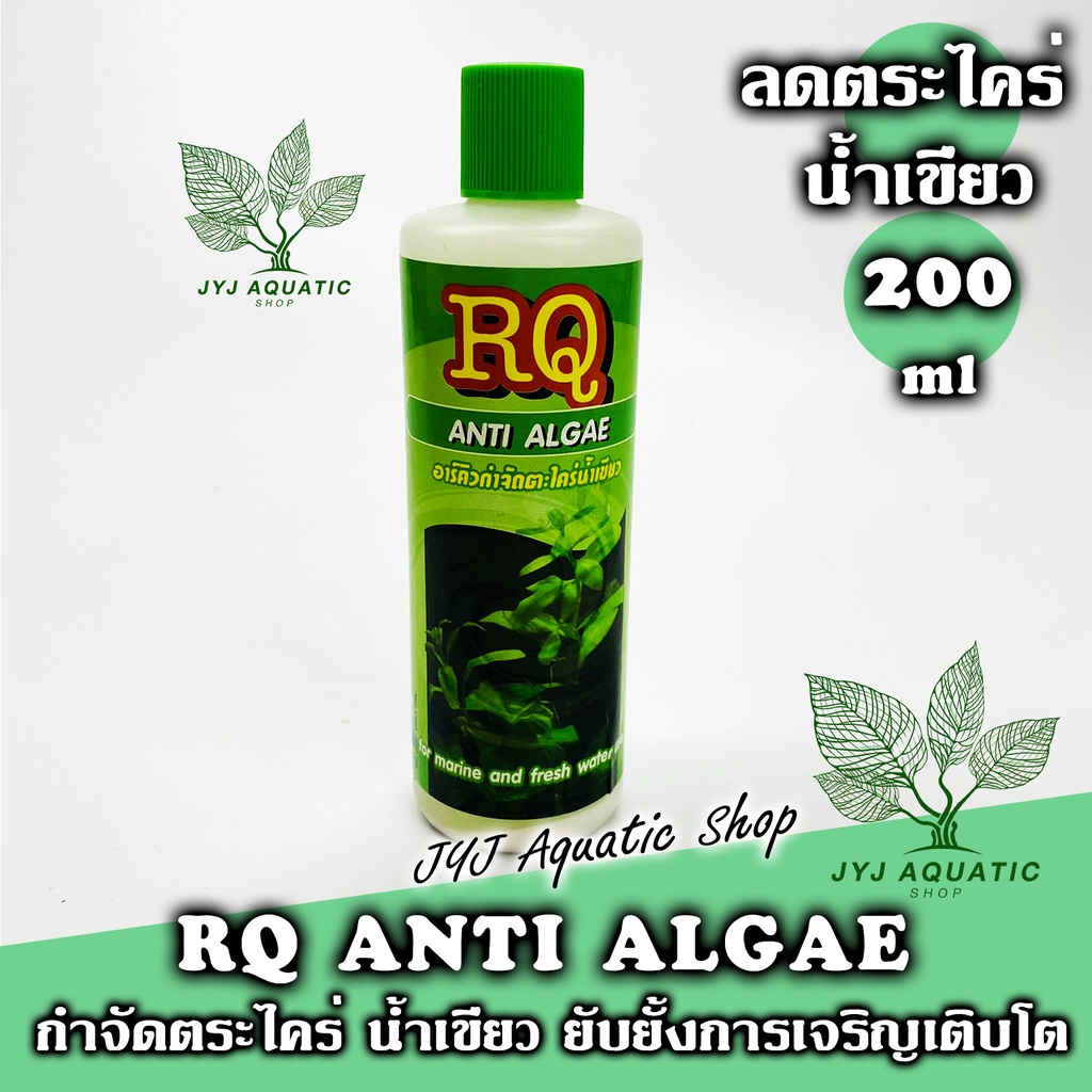 ยากำจัดตะไคร่น้ำเขียว RQ ANTI ALGAE 200ml แก้ปัญหาน้ำเขียว น้ำยากำจัดตะไคร่บ่อปลา