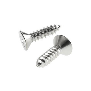 อุปกรณ์ยึดติด สกรูเกลียวปล่อย TF 10X3/4 นิ้ว 25 ตัว Screws, Nuts &amp; Washers