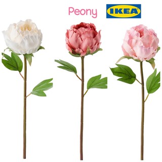 ดอกไม้ประดิษฐ์ ดอกโบตั๋น peony ✨IKEA🌈 รุ่นSMYCKA ดอกโบตั๋น peony, 30 ซม. ดอกไม้พลาสติก artificial flowers flower