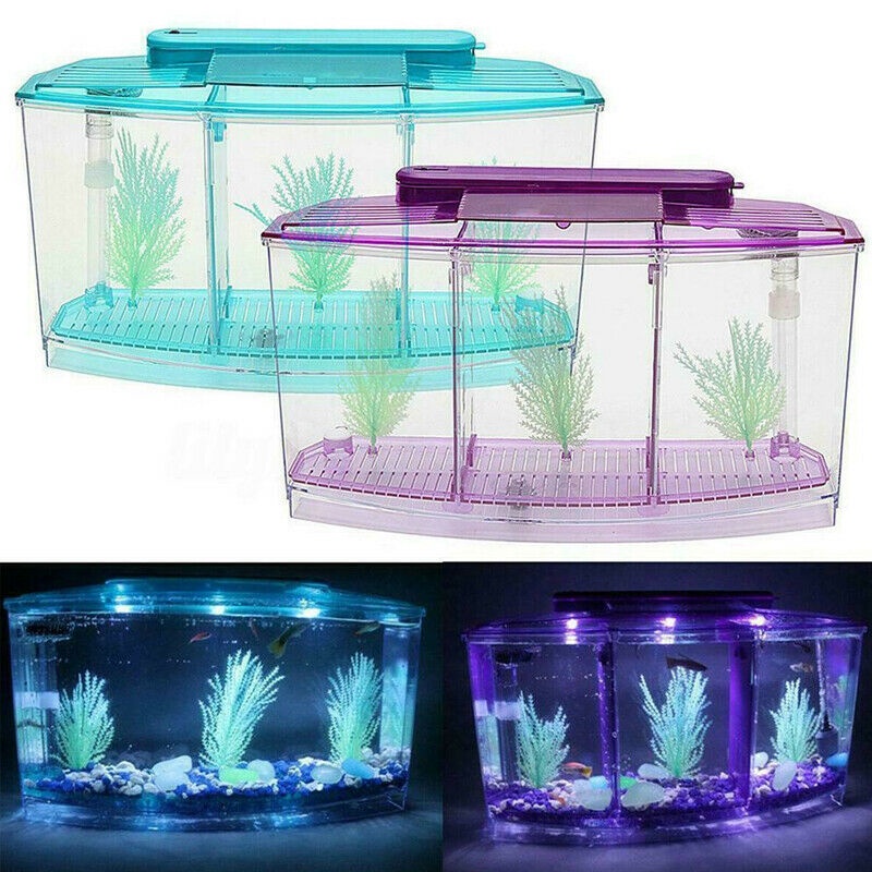 ตู้ปลากัด ตู้ปลากัด ขนาดเล็ก พร้อมโคมไฟ LED ตกแต่ง