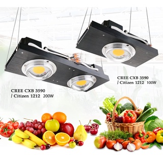 Cree CXB3590 หลอดไฟ LED COB 2000W แบบเปลี่ยน สําหรับปลูกพืชในร่ม เรือนกระจก