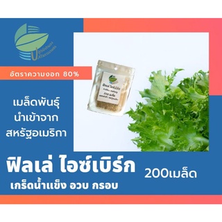 ผักกาดหอม ฟิลเล่ด์ ไอซ์เบิร์ก (Frillice Iceberg)