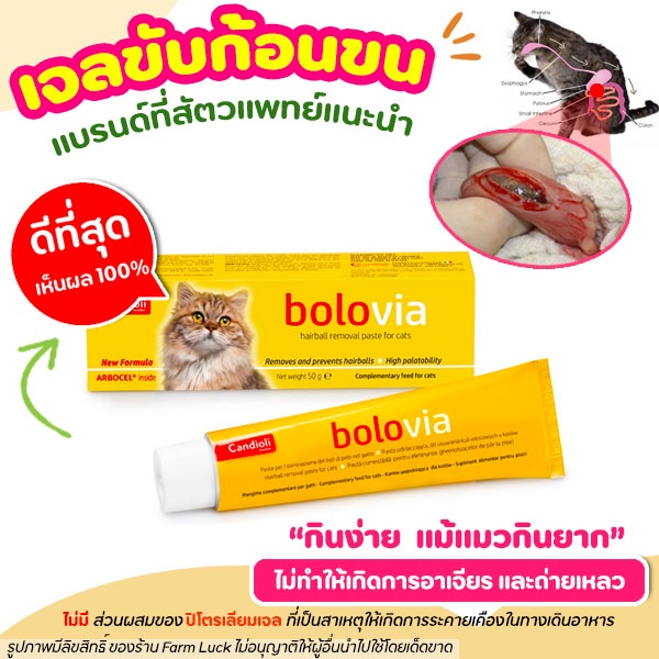 🧡พร้อมส่ง🧡Bolovia เจลขับก้อนขนแมว ✅ธรรมชาติ100% ไม่มีส่วนผสมปิโตรเลียมเจล ไม่ทำให้อ้วก อาเจียร