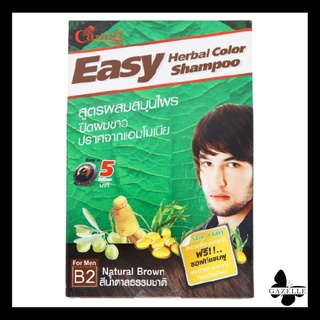 Caring Easy B2 Natural Brown Herbal Color Shampoo for Men[40ml.]แคริ่ง อีซี่ แชมพูปิดผมขาว สูตรผสม สมุนไพร ปราศจากแอมโมเนีย