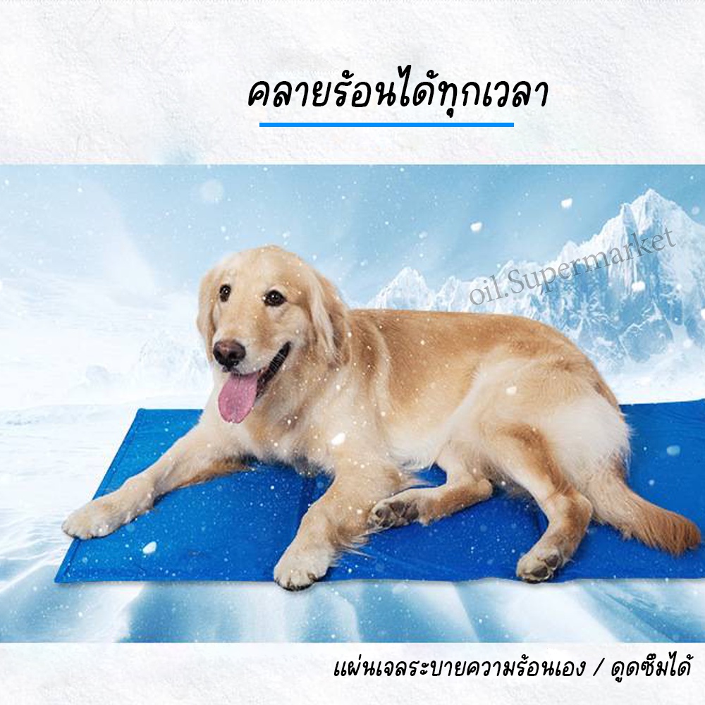 ที่นอนเจลเย็น สำหรับสัตว์เลี้ยง แผ่นทำความเย็น (Pat Cool mat) 50x60