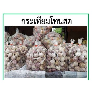 กระเทียมโทน คัดเม็ดงามๆ เท่านั้น เม็ดไม่สวยเขี่ยออก ให้ 500 กรัม ส่งฟรี