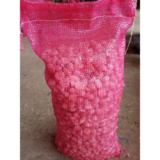 กระเทียมกลีบเบอร์1บรรจุ10กิโลกรัม