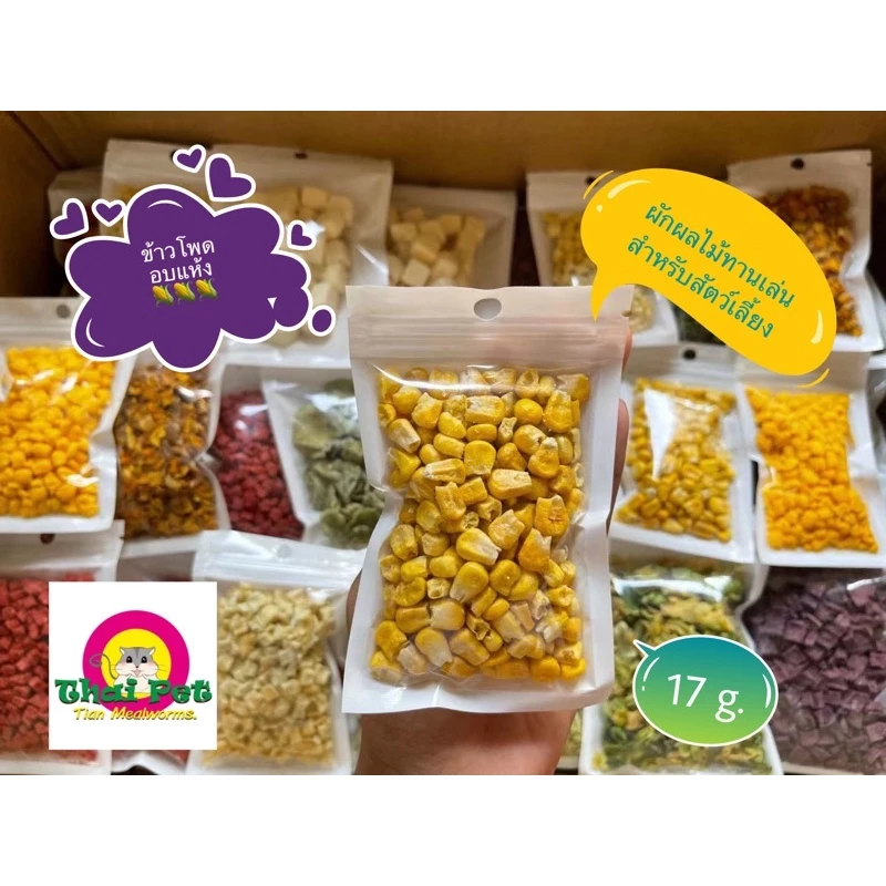 [B3-5] ข้าวโพดอบแห้ง Freeze Dried Corn 🌽🐹 ผักผลไม้เสริมวิตามินสำหรับสัตว์เลี้ยงฟันแทะ ขนาด 17 g.