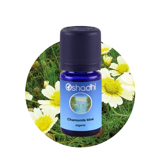 Oshadhi Chamomile Blue Organic Essential Oil  น้ำมันหอมระเหย (3 ml)