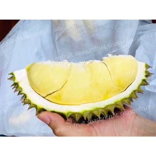 ทุเรียนจันทบุรีเนื้อพรีเมียม ยอดขายเยอะที่สุดทุเรียนหมอนทอง คัดเนื้อเทพไม่เน้นทรง เนื้อเหลือง เนื้อตลาดที่คนไทยกิน