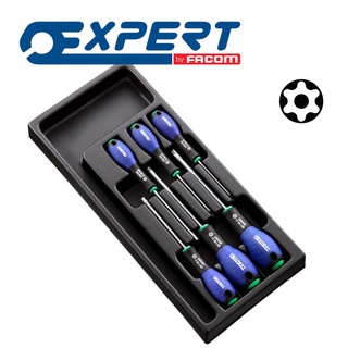 Expert ชุดถาดไขควงหัวทอร์ค แบบมีรู (Resistorx)  6 ชิ้น (E194941)