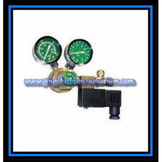 UP AQUA REGULATOR + SOlENOID MAGNETIC VALVE A-100
