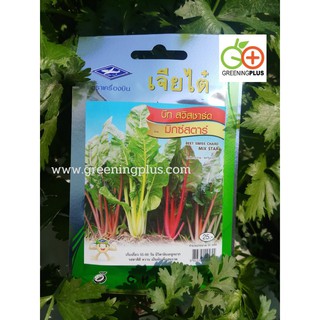 บีท สวิสชาร์ด มิกซ์สตาร์ (BEET SWISS CHARD MIX STAR) เจียไต๋