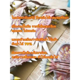 โมบายนกอินทรีย์ ไล่นกพิราบ นกกกระจอก นกเล็กๆ งานปั้นมือจากฝุ่นไม้หรือขี้เลื่อยละเอียด ทำสีเหมือนจริง