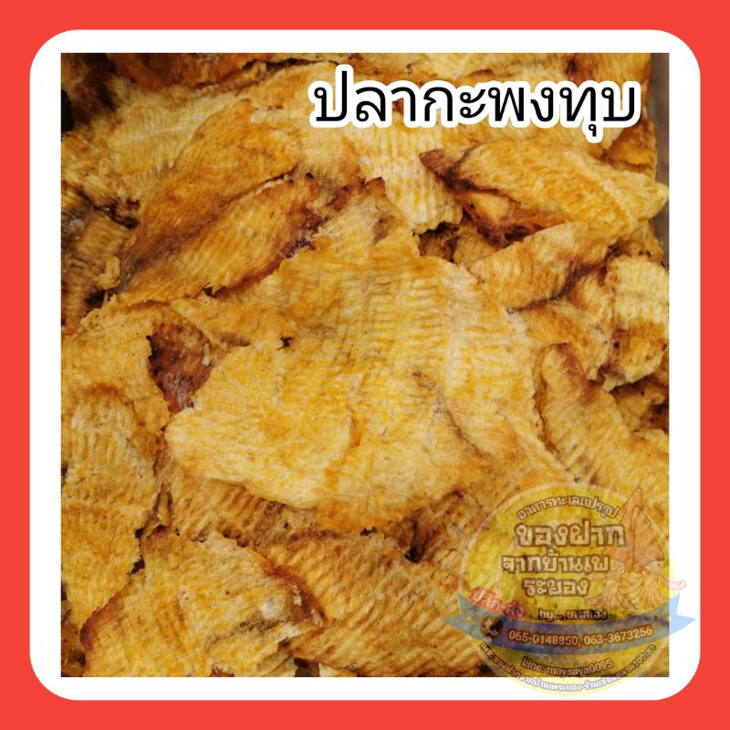 ปลากะพงทุบ ราคาส่ง พร้อมทาน