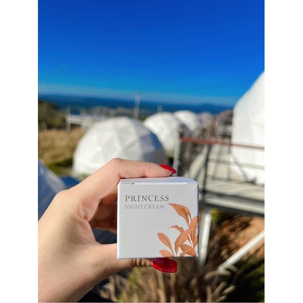princessขมิ้นไนท์ครีม