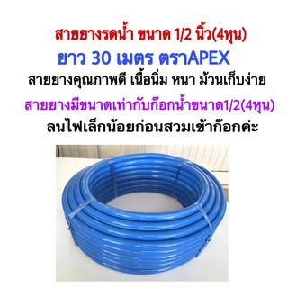 สายยางรดน้ำขนาด1/2นิ้ว(4หุน)ยาว 30 เมตรตราAPEX