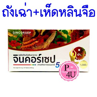 GINCORSEP จินคอร์เซป สารสกัดถั่งเช่า โสม 30 เม็ด เห็ดหลินจือ โกจิเบอร์รี่ และใบแปะก๊วย ดูแลตัวเอง เพื่อวันนี้ และวันหน้า