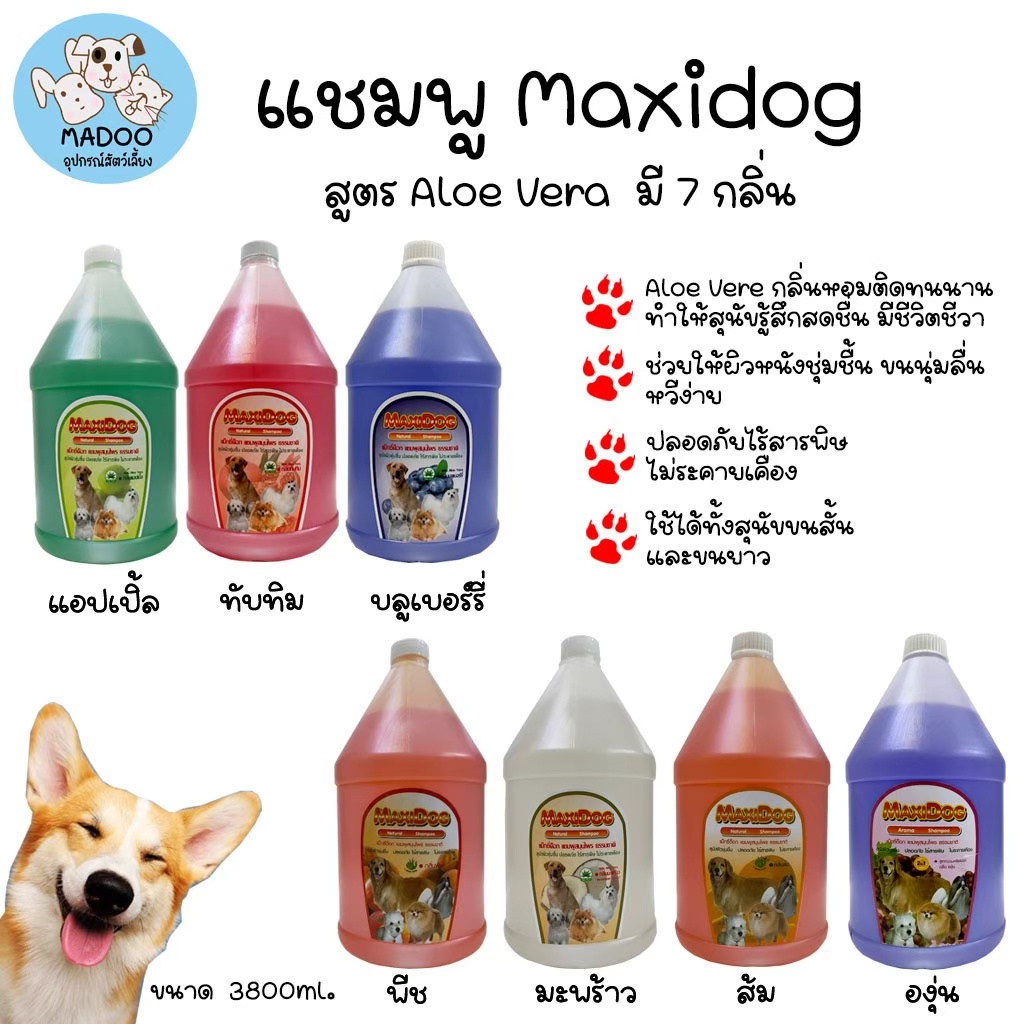 แชมพูสุนัข Maxidog สูตร Aloe Vera 3800ml