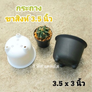 กระถาง ขาสิงห์ กลาง // กด 100 ใบ 1200 บาท -- กระถาง 3.5 นิ้ว -- กระถางพลาสติก แคคตัส กระบองเพชร