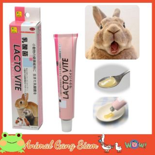 SANKO LACTO VITE แซนโกะ ไวด์ อาหารเสริม วิตามินและแลคโต เสริมภูมิต้านทานโรค สำหรับสัตว์เล็ก (50g) (616)
LACTO VITE