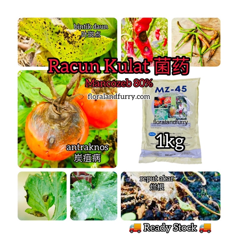 MZ45 1KG ปีนป่าย 80 Kencozeb Carbendazim Dithane Fungicide Powder Fungicide Powder Fungisida Antrakn