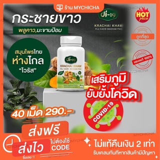 ส่งฟรี กระชายขาวสกัด 40 แคปซูล Di19 จบสู้ไวรัส ส่งไว ส่งฟรี เก็บปลายทางฟรี กระชายขาว ดีกว่าขิง ฟ้าทลายโจร 20 เท่า