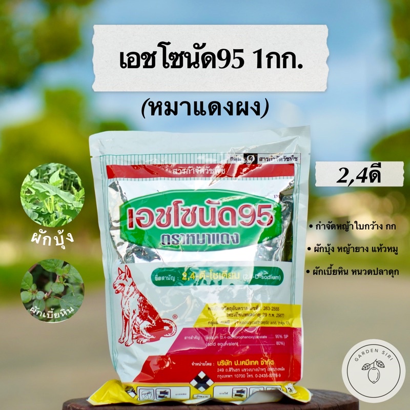 เอชโซนัด95 (2,4ดี หมาแดงผง) ขนาด 1กก. สารกำจัดหญ้าใบกว้าง ผักบุ้ง เครือ ตราหมาแดง