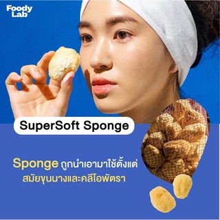 [Foody Lab] SuperSoft Sea Sponge 2ea