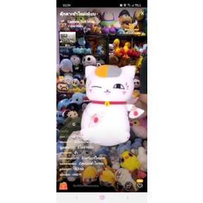 สินค้าตุ๊กตาในไลฟ์สดของคุณ winner99