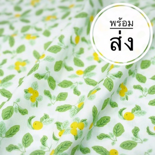 ผ้า cotton 100% ผ้านำเข้า ผ้าแบ่งขาย ผ้าทำแมส ผ้างานฝีมือ ผ้าDIY