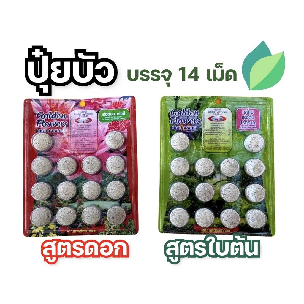 [14 เม็ด] ปุ๋ยบัว ปุ๋ยบอน ปุ๋ยไม้น้ำ Golden Flowers แผงละ 14 เม็ด ช่องาม สูตรเร่งต้น สูตรเร่งดอก ปุ๋ยดอกบัว มี 2 สูตร