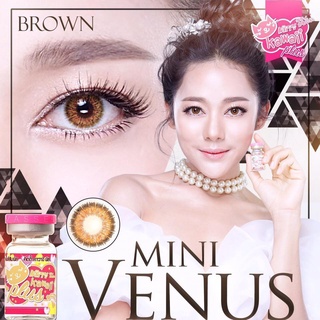 บิ๊กอาย คอนแทคเลนส์ รุ่น venus brown ยี่ห้อ kitty kawaii สายตา -1.75 พร้อมส่ง