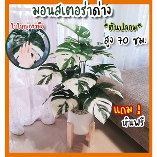 ต้นมอนสเตร่าด่างอัลโบ้ สูง70 cm รุ่น XL ใบใหญ่! /** ต้นไม้ปลอม พร้อมกระถาง+แถมหินโรย!