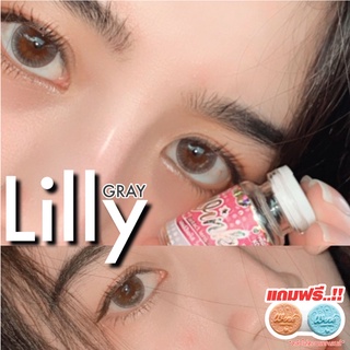 🔥[คุ้มที่สุด]🔥คอนแทคเลนส์แฟชั่นลาย LILLY (WINK) มีค่าสายตา MADE IN KOREA (EXP:ปี2026)