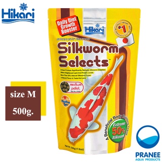 Hikari Silkworm 500 g. อาหารปลาคาร์ฟผสมหนอนไหม