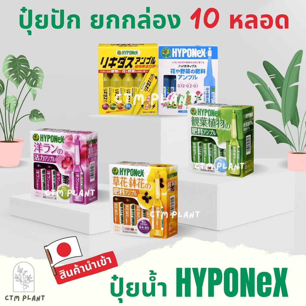 Hyponex ปุ๋ยปัก (Hyponex Ampoule) ยกกล่อง 10 หลอด ปุ๋ยน้ำจากประเทศญี่ปุ่น  ปุ๋ยปักญี่ปุ่น