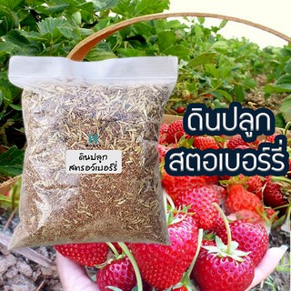 Local ฟาร์มสุข 🍂 ดินปลูกสตอเบอรี่ 🍓 ดินปลูกสตรอว์เบอร์รี ขนาด 3กิโล