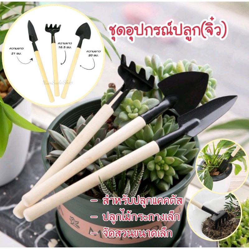 อุปกรณ์ปลูกต้นไม้ เครื่องมือ3ชิ้น​ ปลูกดอกไม้​ แคคตัส​ ไม้อวบน้ำ​ ชุดพรวนดิน​ เสียม​คาด​