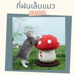 ที่ฝนเล็บแมว ที่ลับเล็บแมว ที่ช่วยแมว รูปเห็ดทำจากเชือกป่าน สินค้าพร้อมส่ง!!