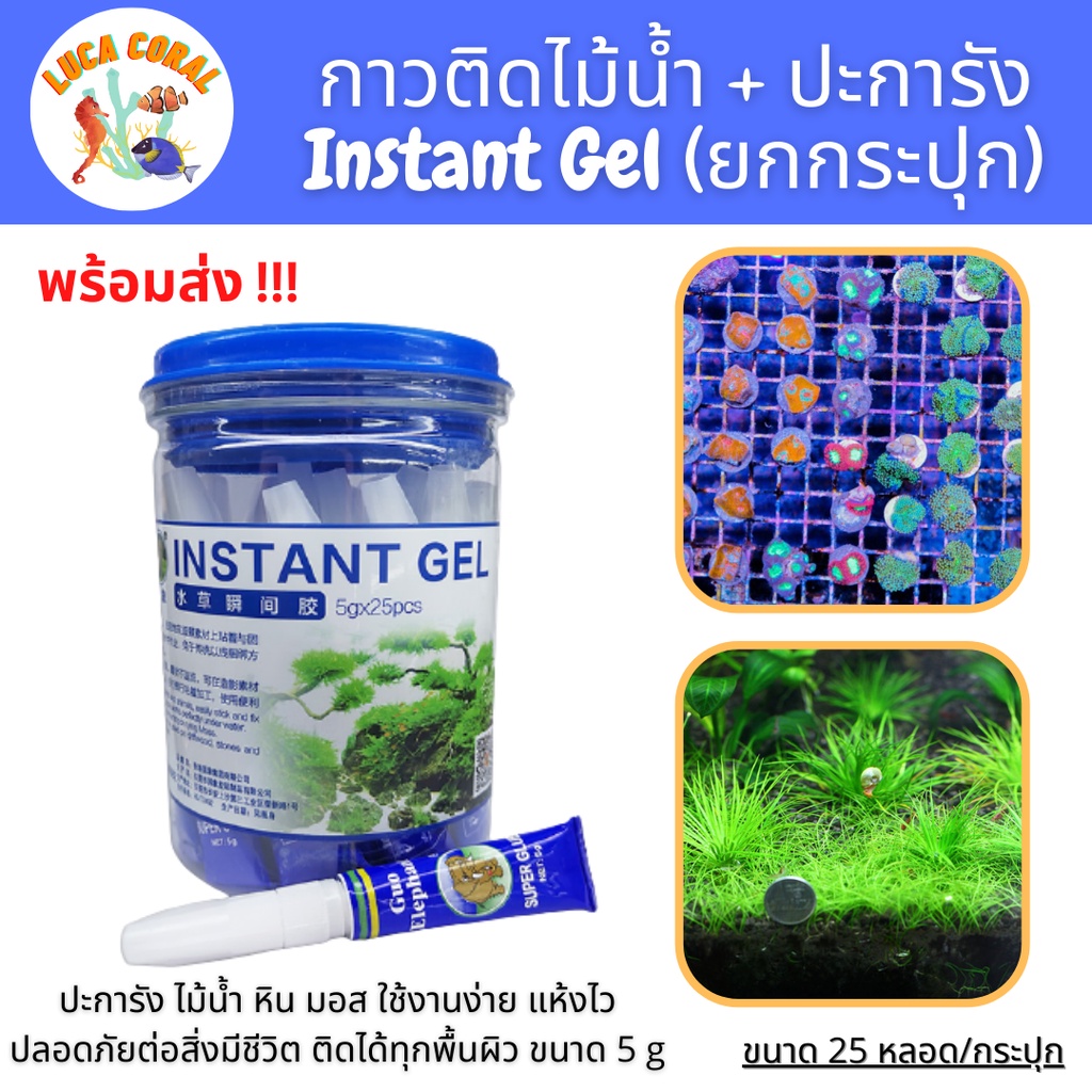 (ยกกระปุก) กาวติดปะการัง ไม้น้ำ หิน ต้นไม้น้ำ มอสใต้น้ำ ขนาด 5 g*25 หลอด