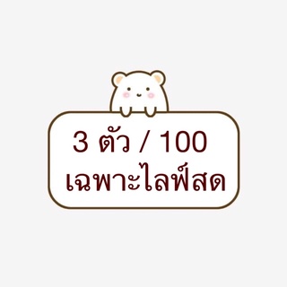 เสื้อ3ตัว100บาทเท่านั้น🐰