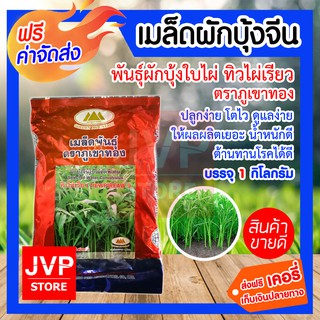 ส่งฟรี เมล็ดพันธุ์ผักบุ้งจีน ผักบุ้งจีนใบไผ่คัดพิเศษ ทิวไผ่เรียว ตราภูเขาทอง บรรจุ 1 กิโลกรัม ปลูกง่าย โตไว ให้ผลผลิตดี