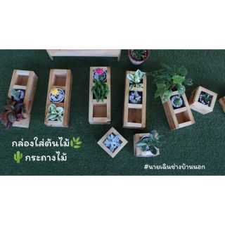 กล่องใส่ต้นไม้🌿กระถางไม้🌵กระถางแคคตัส​🌵​