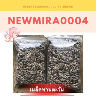 ทานตะวัน Aป้อม นก สัตว์ฟันแทะ