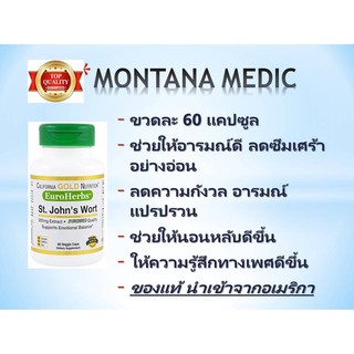 ลดซึมเศร้า  St. Johns Wort Extract, EuroHerbs, European Quality, 300 mg, 60 Caps